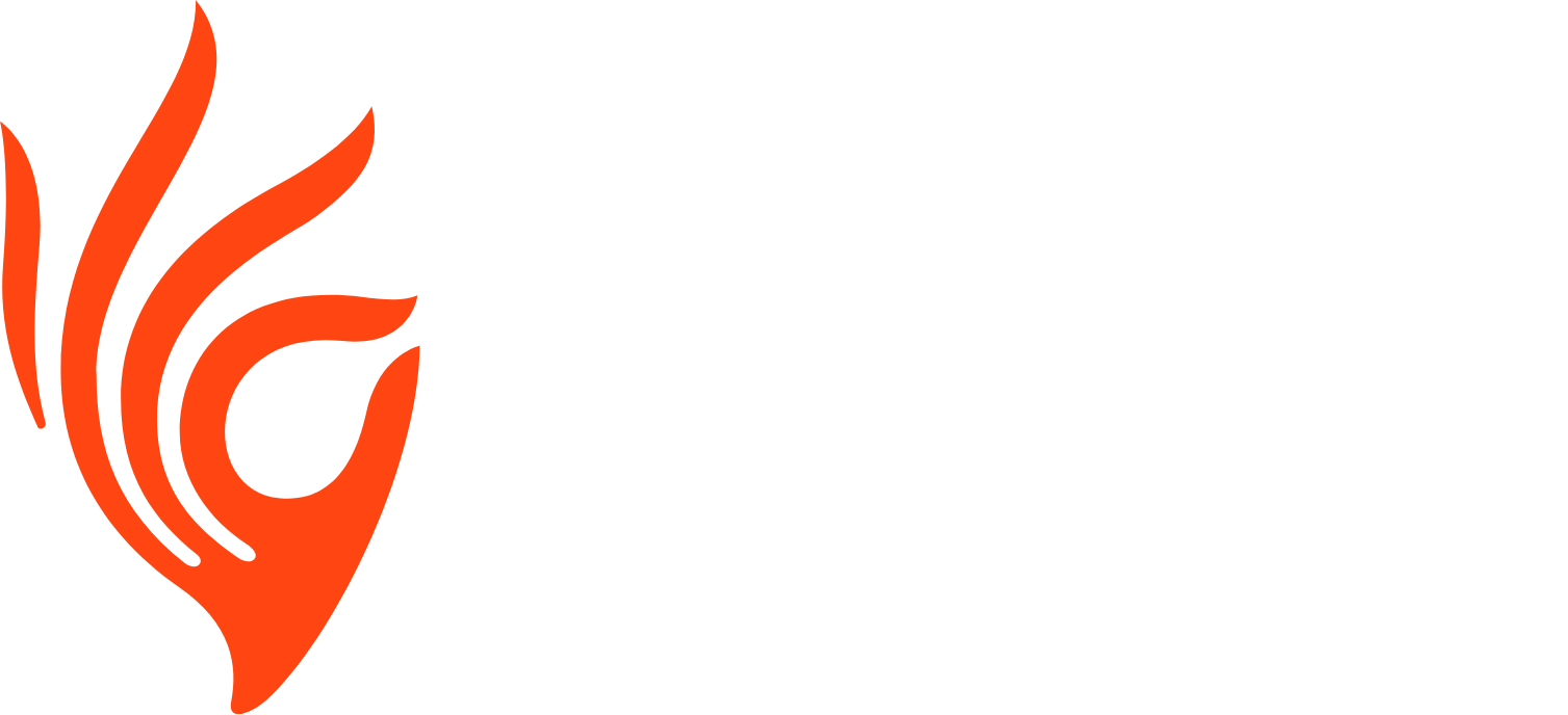 Piramal Enterprises
 logo grand pour les fonds sombres (PNG transparent)