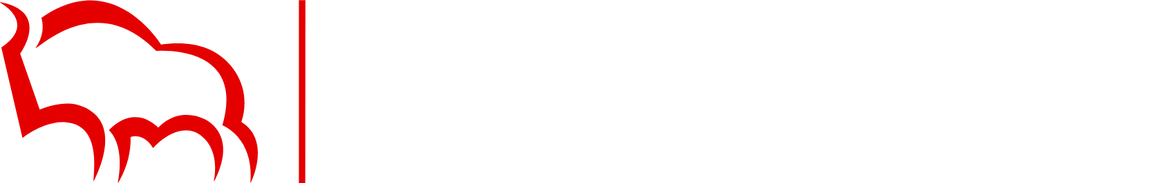 Bank Pekao (Bank Polska Kasa Opieki) Logo groß für dunkle Hintergründe (transparentes PNG)