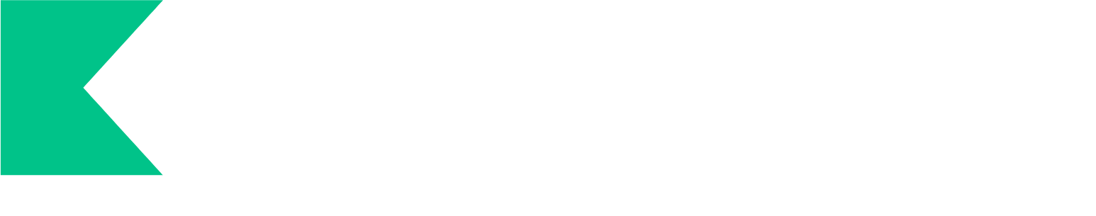 Polenergia Logo groß für dunkle Hintergründe (transparentes PNG)