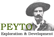 Peyto Exploration & Development logo large (transparent PNG)
