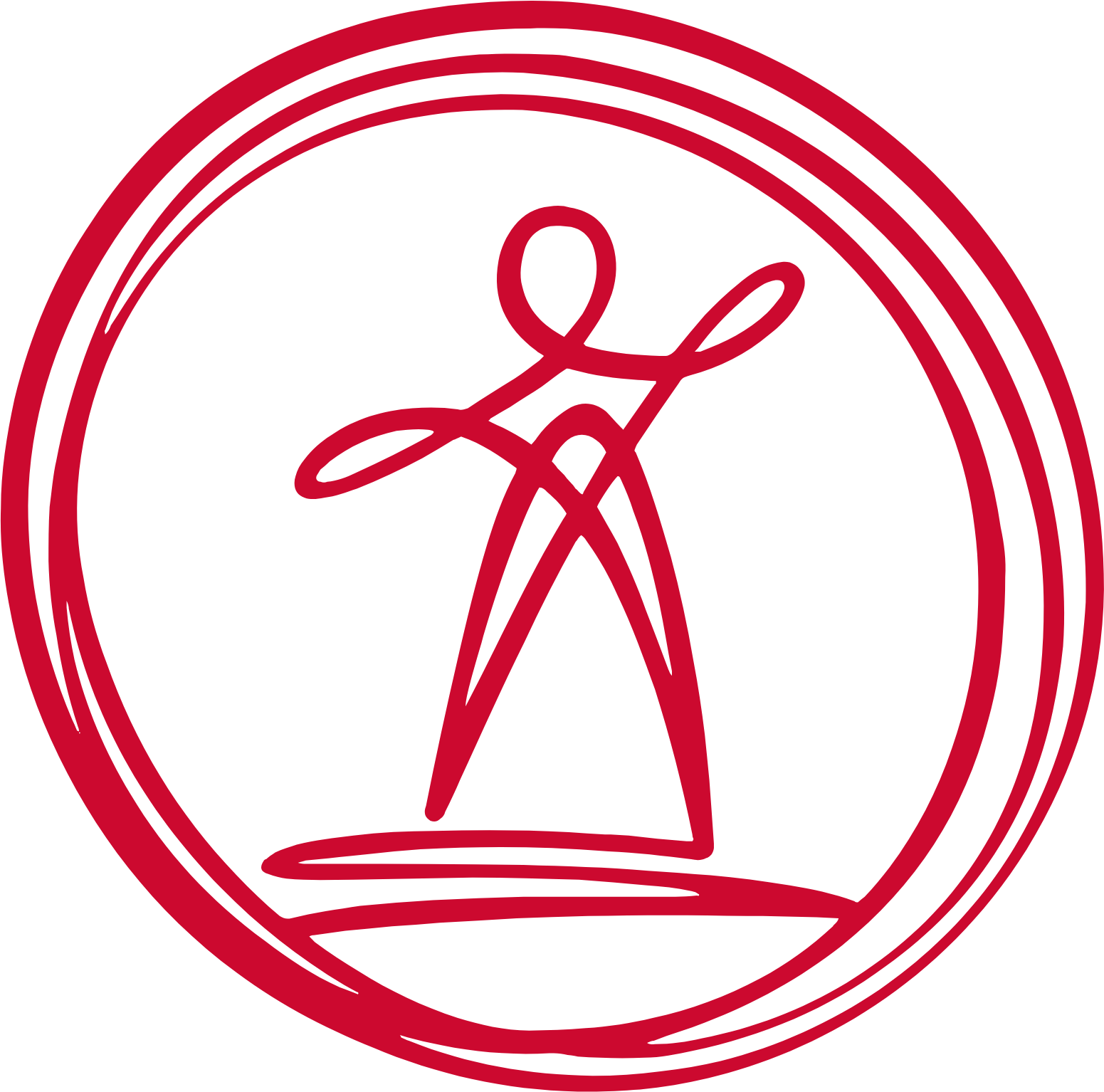 Prime Focus logo (transparent PNG)