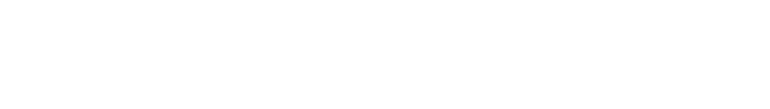 PhenixFIN Logo groß für dunkle Hintergründe (transparentes PNG)