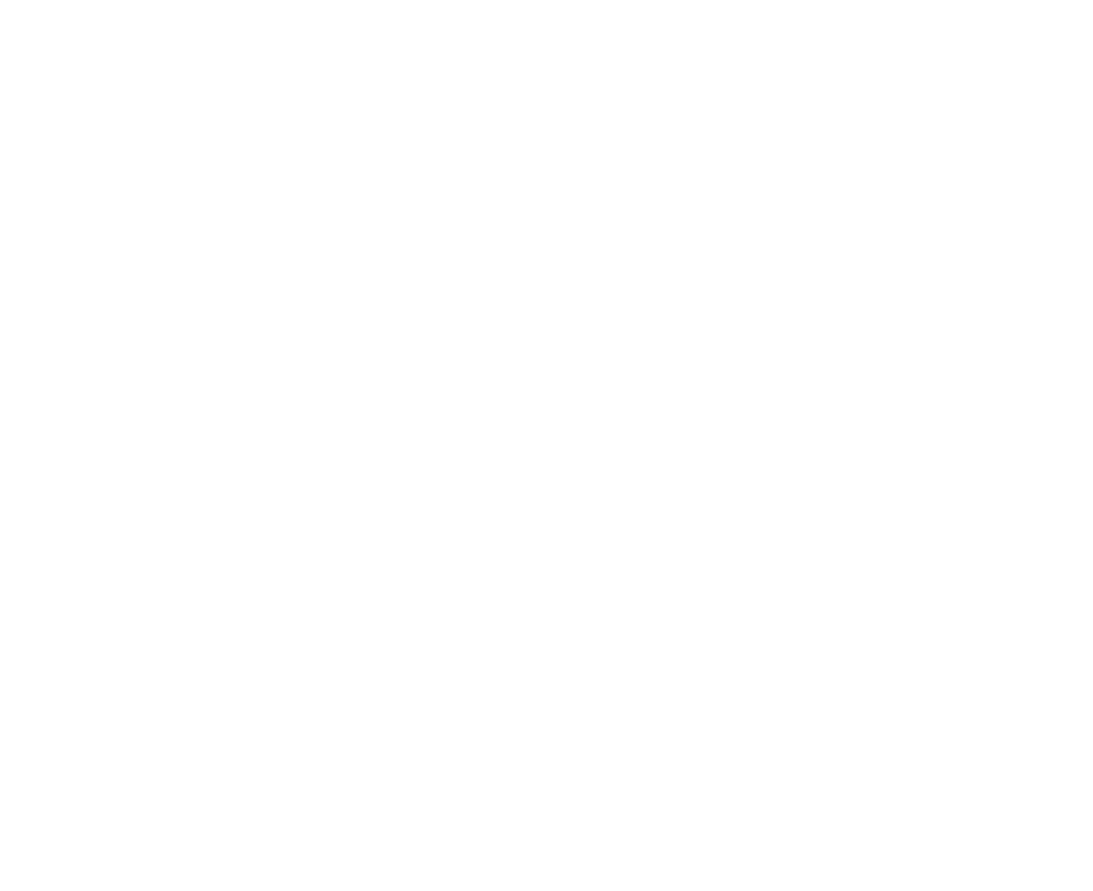 Pegasus Airlines
 logo pour fonds sombres (PNG transparent)