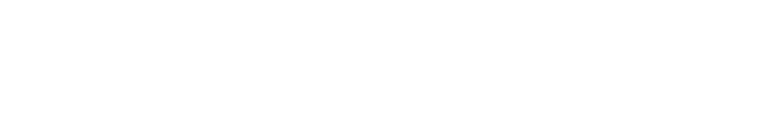 Pegasus Airlines
 Logo groß für dunkle Hintergründe (transparentes PNG)