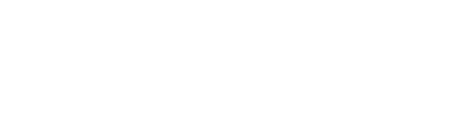 The Phoenix Holdings logo grand pour les fonds sombres (PNG transparent)