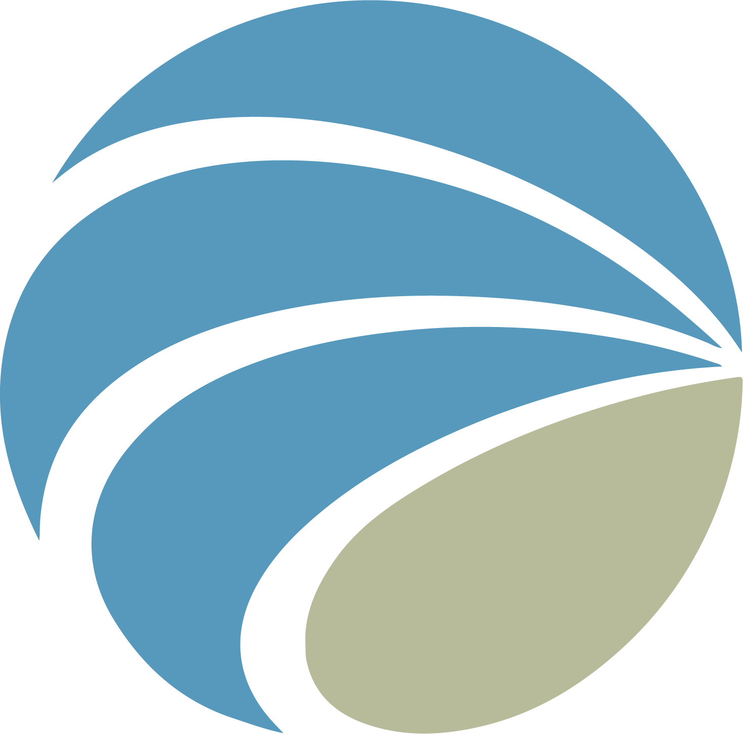 PICO Holdings logo (transparent PNG)