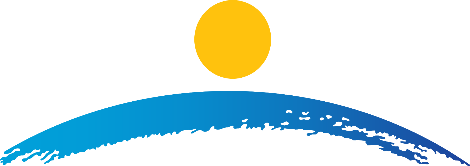 Pidilite logo (transparent PNG)