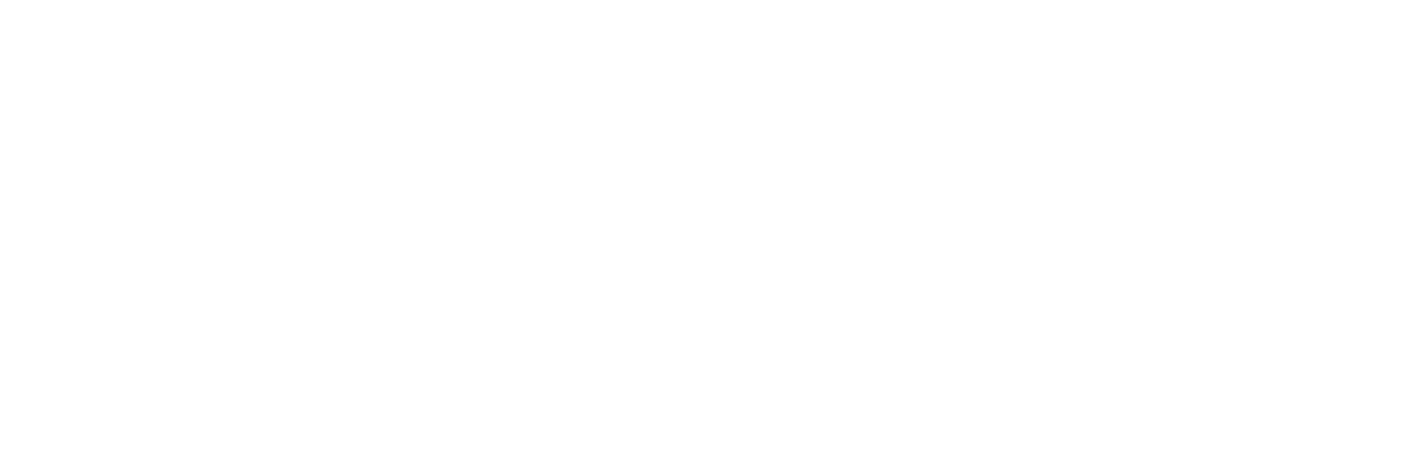 Pick n Pay Stores logo pour fonds sombres (PNG transparent)
