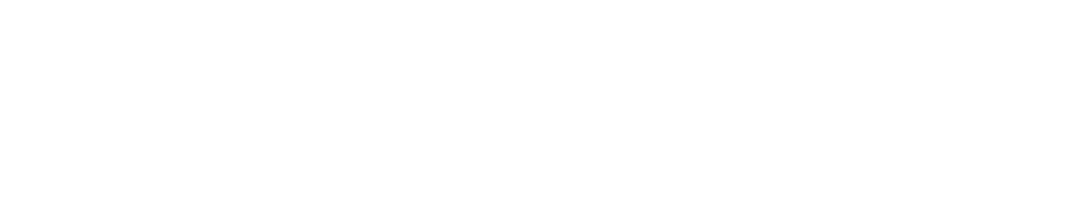 Pick n Pay Stores Logo groß für dunkle Hintergründe (transparentes PNG)