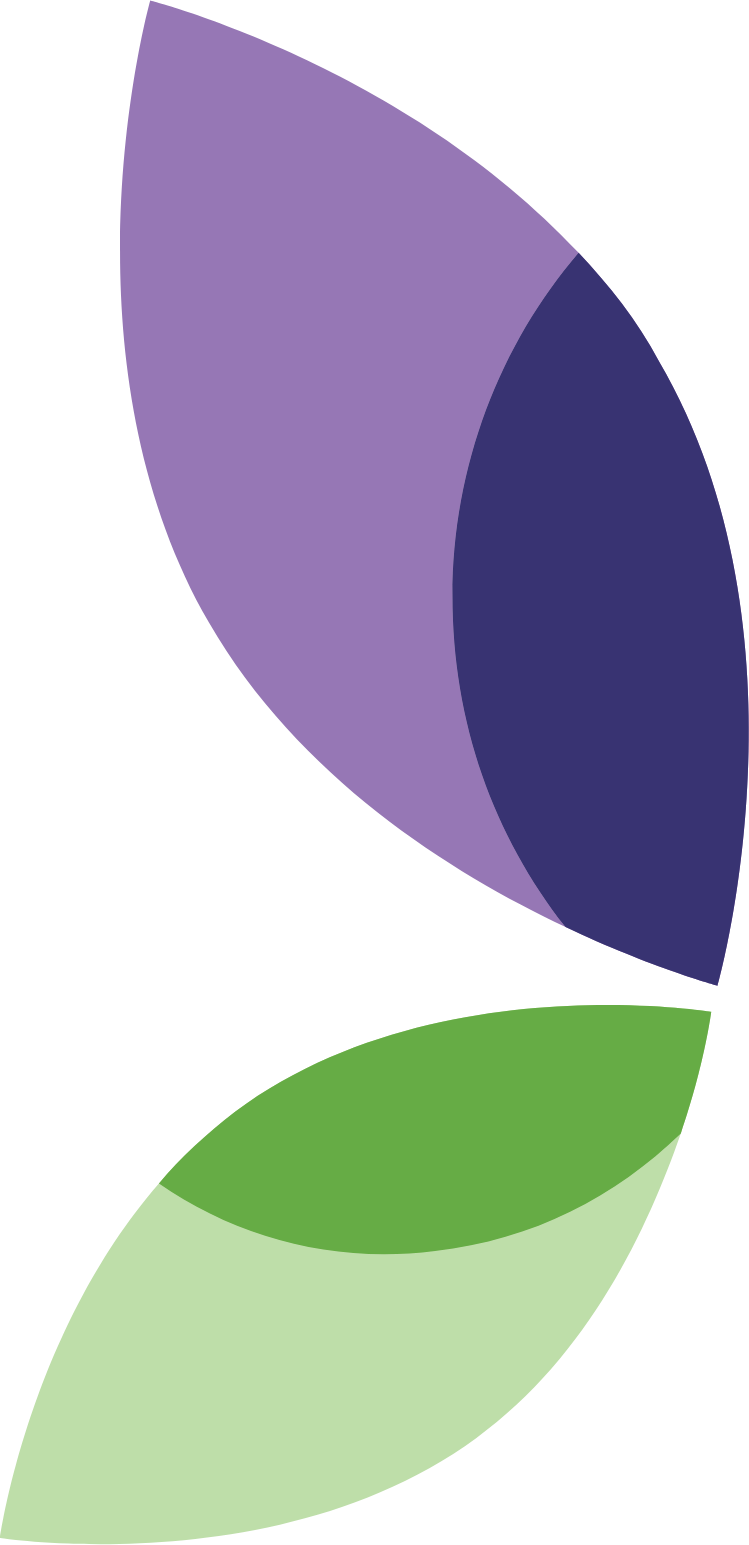 ShiftPixy Logo (transparentes PNG)