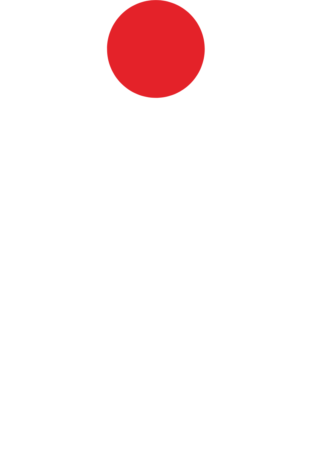 PKO Bank Polski
 logo pour fonds sombres (PNG transparent)
