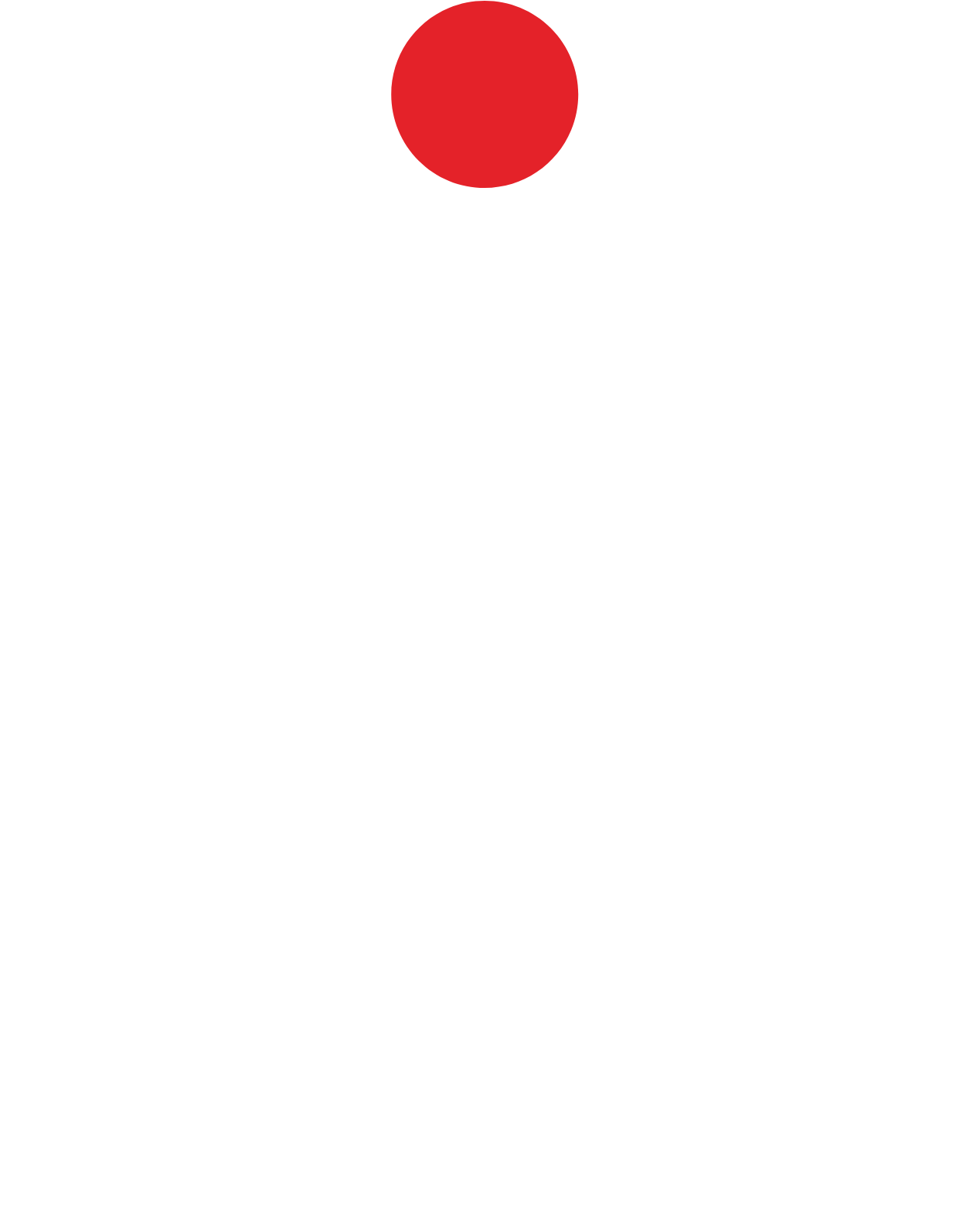 Logo De PKO Bank Polski Aux Formats PNG Transparent Et SVG Vectorisé