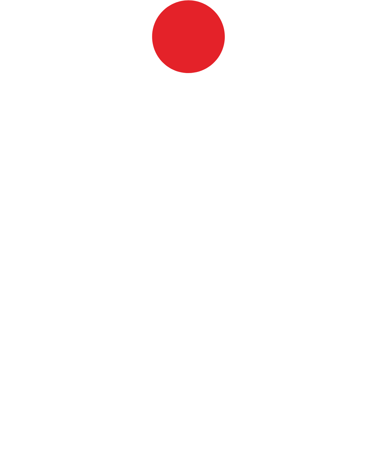 PKO Bank Polski
 logo large for dark backgrounds (transparent PNG)
