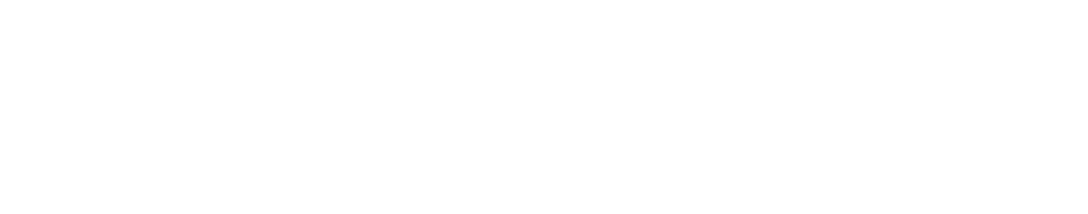 PIERER Mobility
 logo large for dark backgrounds (transparent PNG)