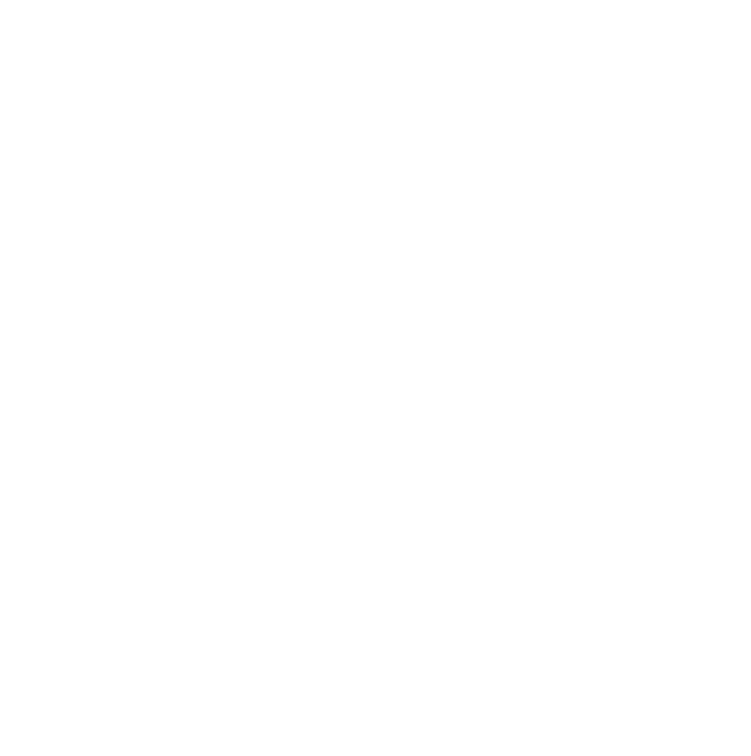 Photronics logo for dark backgrounds (transparent PNG)