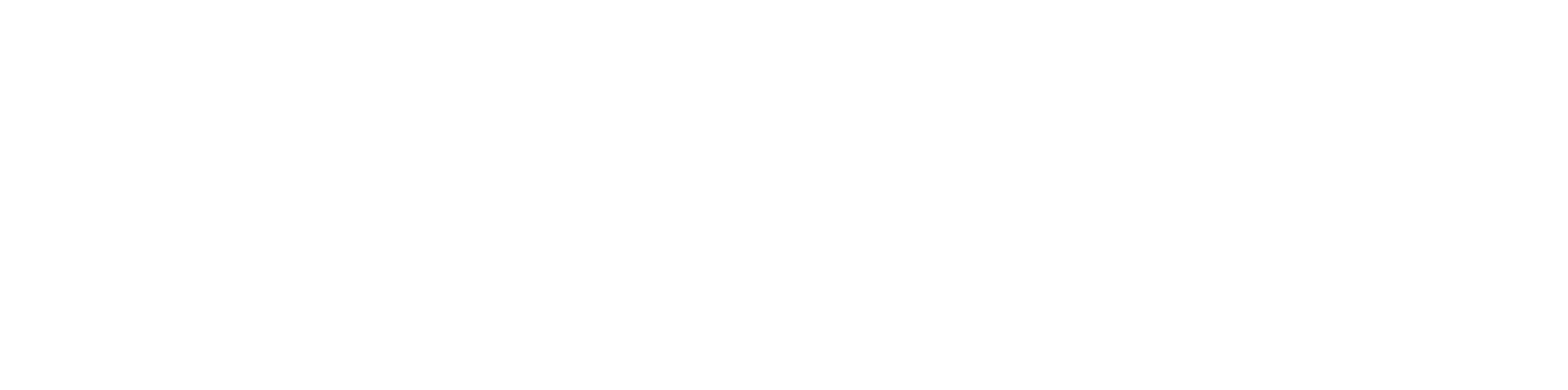 Plus500 logo for dark backgrounds (transparent PNG)