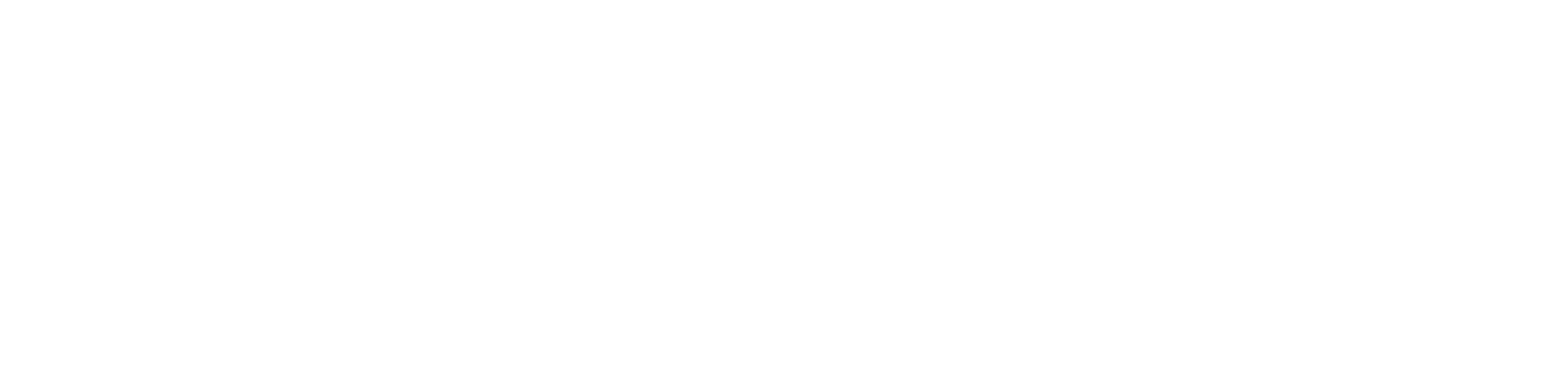 Plus500 logo large for dark backgrounds (transparent PNG)