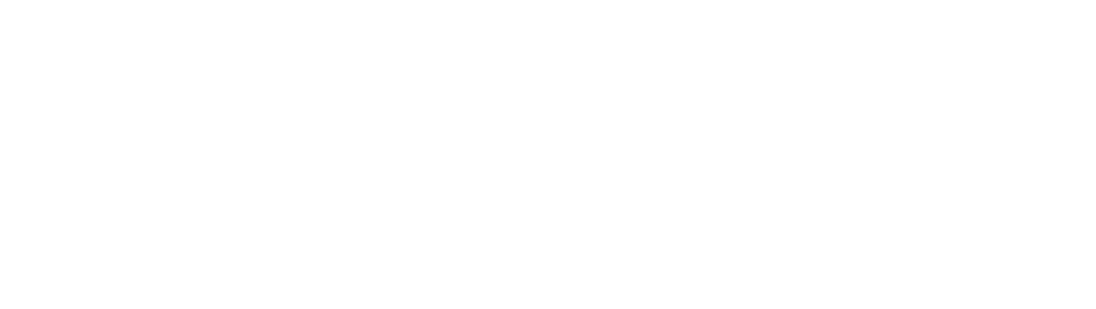 Pluxee logo fulle size on a dark background (transparent PNG)