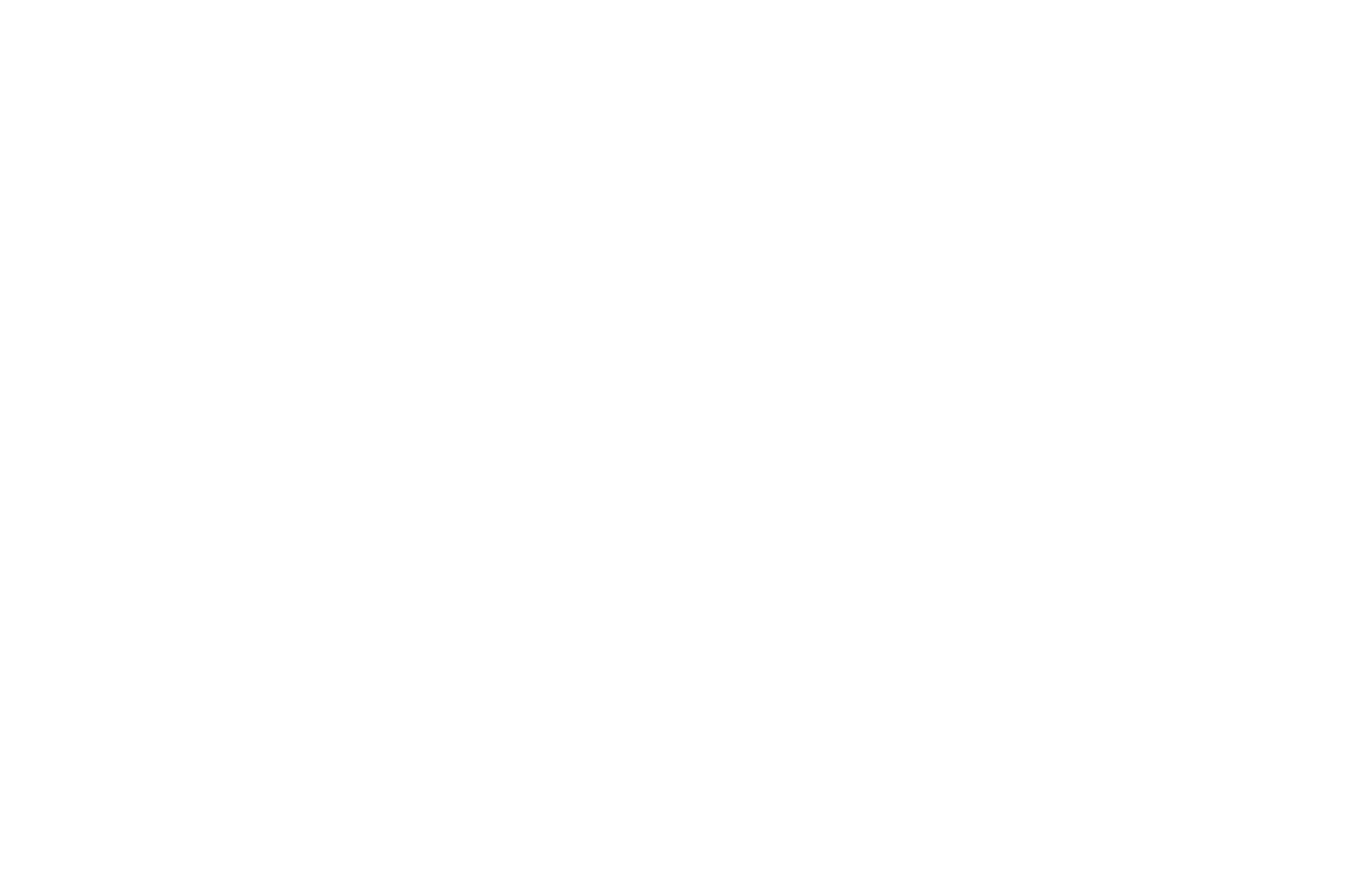 Patriot Battery Metals logo for dark backgrounds (transparent PNG)
