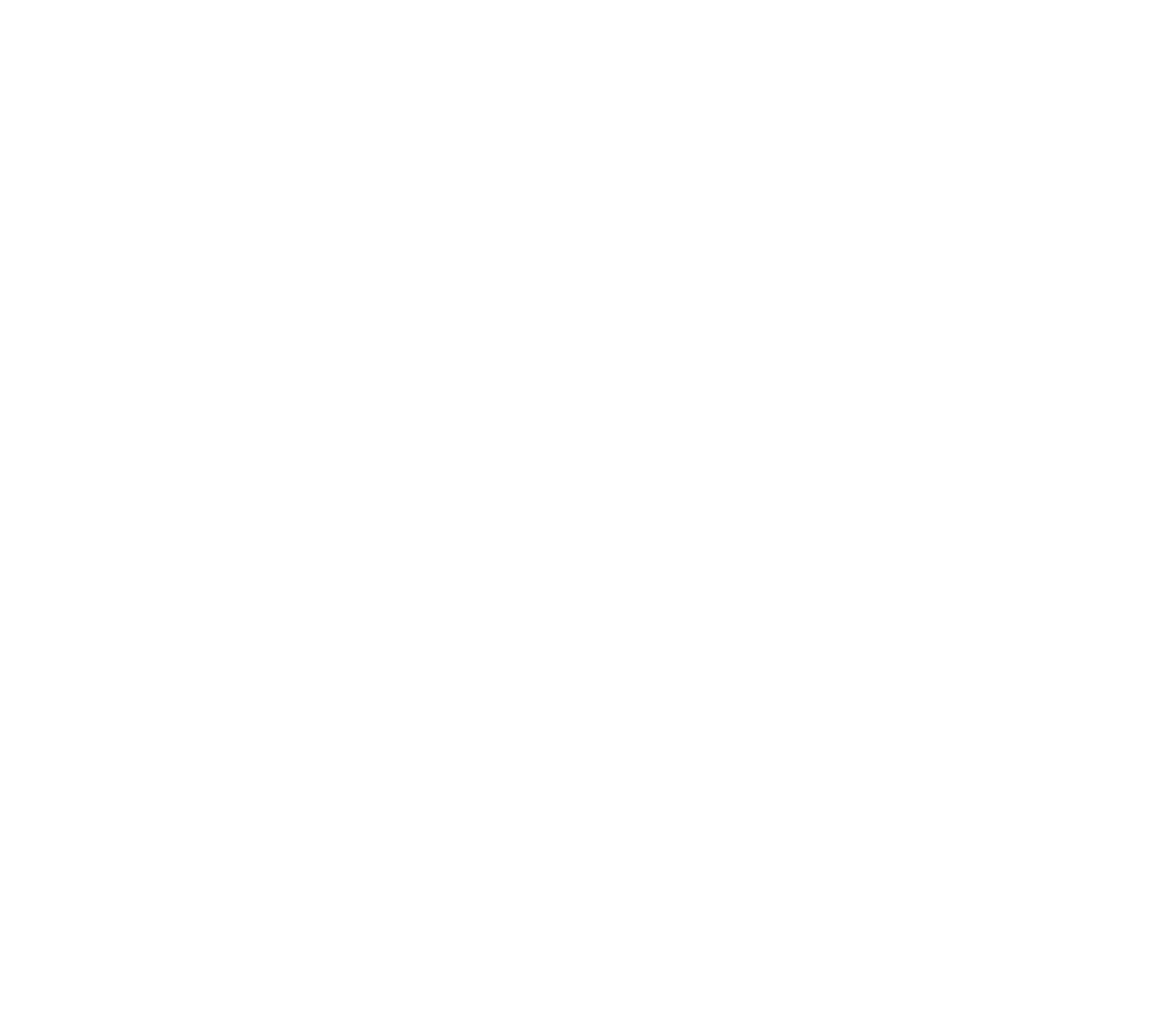 CPI Card Group logo for dark backgrounds (transparent PNG)