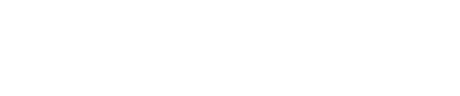 Pandora Logo groß für dunkle Hintergründe (transparentes PNG)