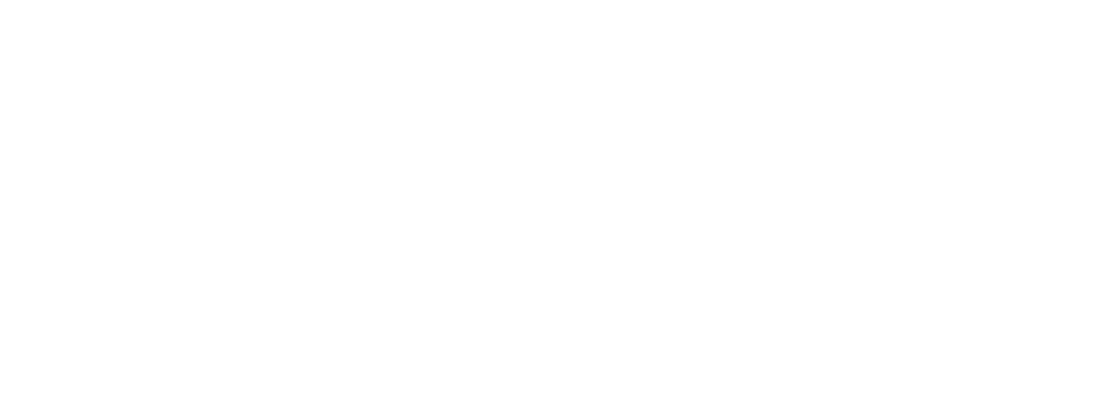 PNE AG logo for dark backgrounds (transparent PNG)
