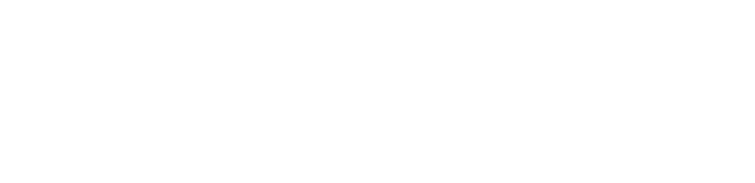 Pentair
 logo large for dark backgrounds (transparent PNG)