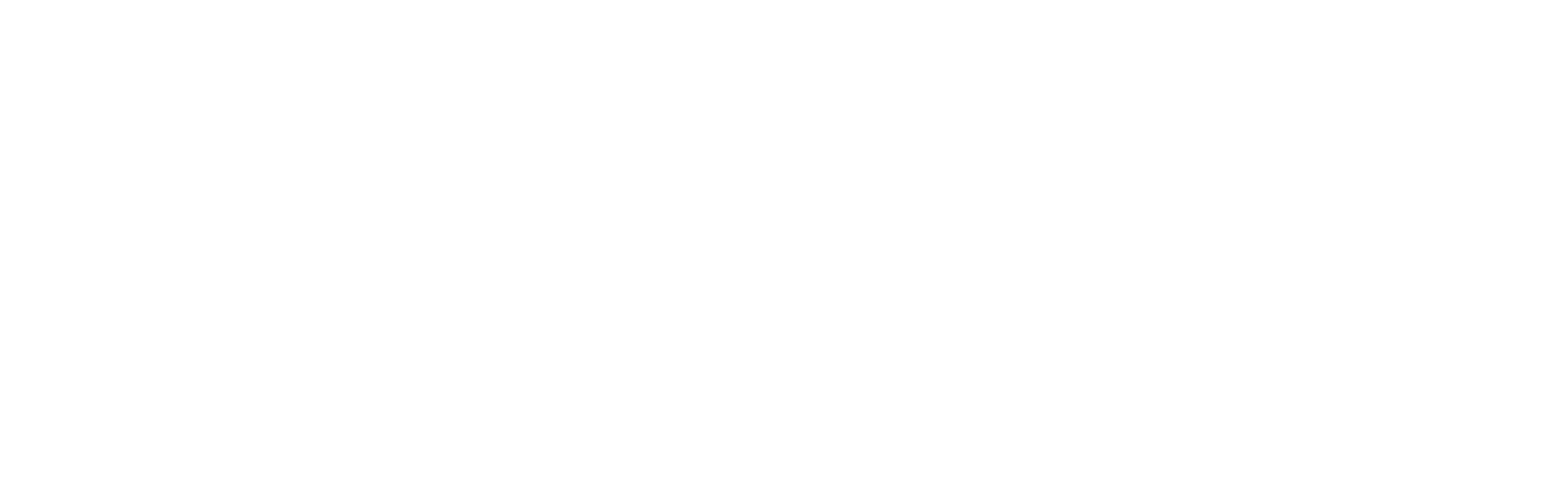 Pony AI Logo groß für dunkle Hintergründe (transparentes PNG)