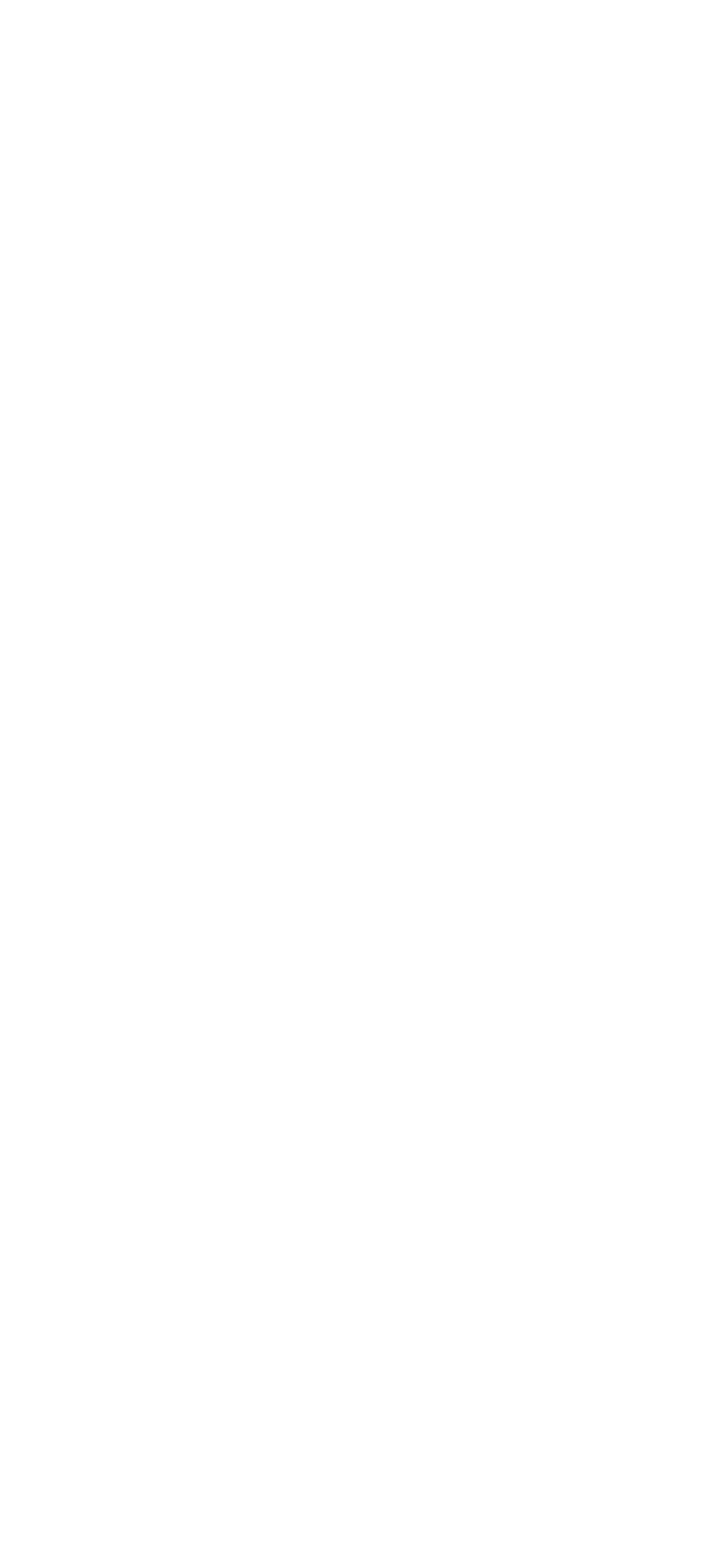 PetroVietnam Power logo pour fonds sombres (PNG transparent)