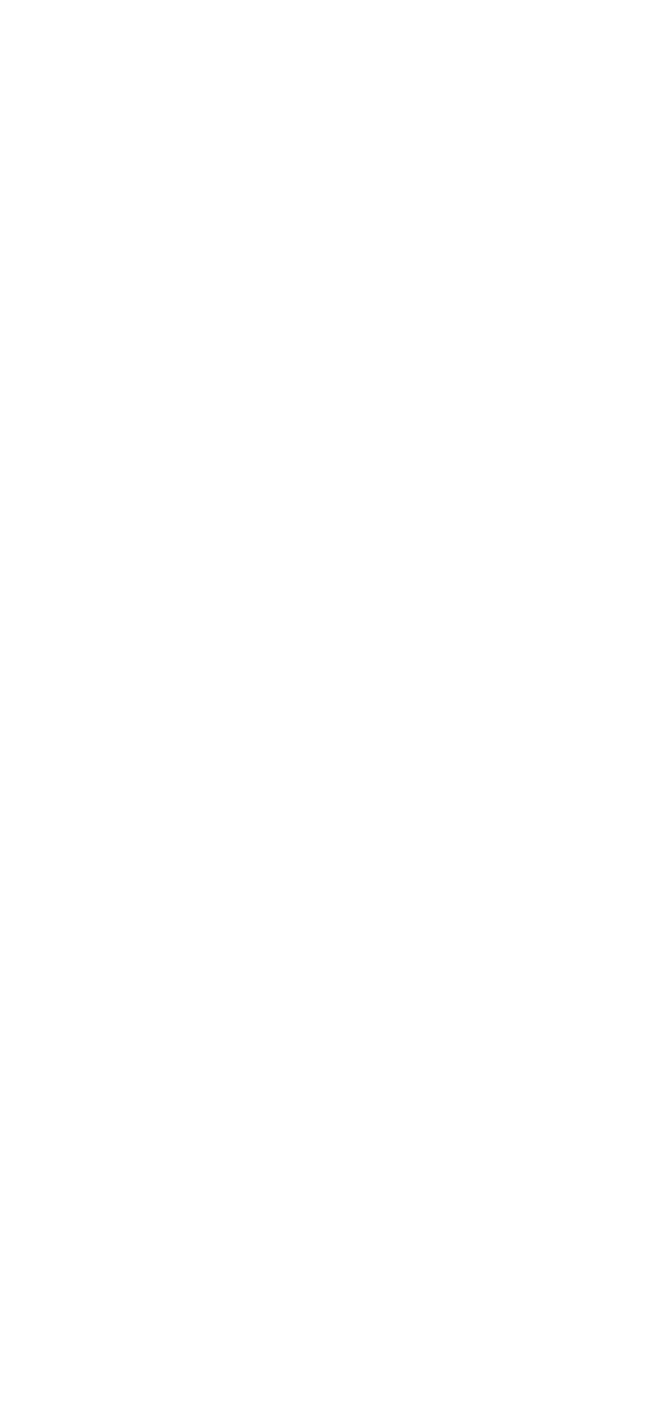 PetroVietnam Power logo in monochrome white (transparent PNG)