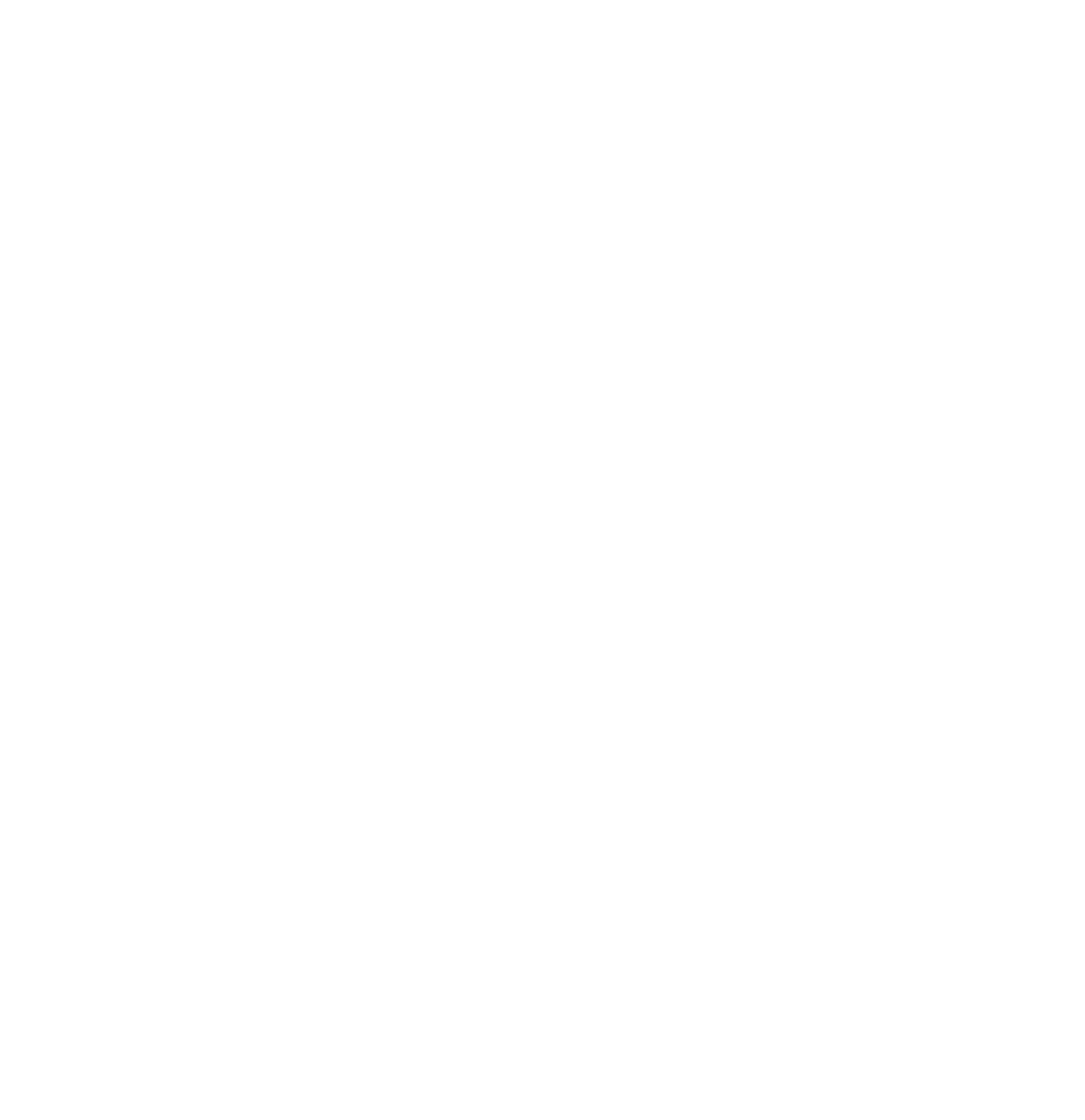 PetroVietnam Power Logo groß für dunkle Hintergründe (transparentes PNG)