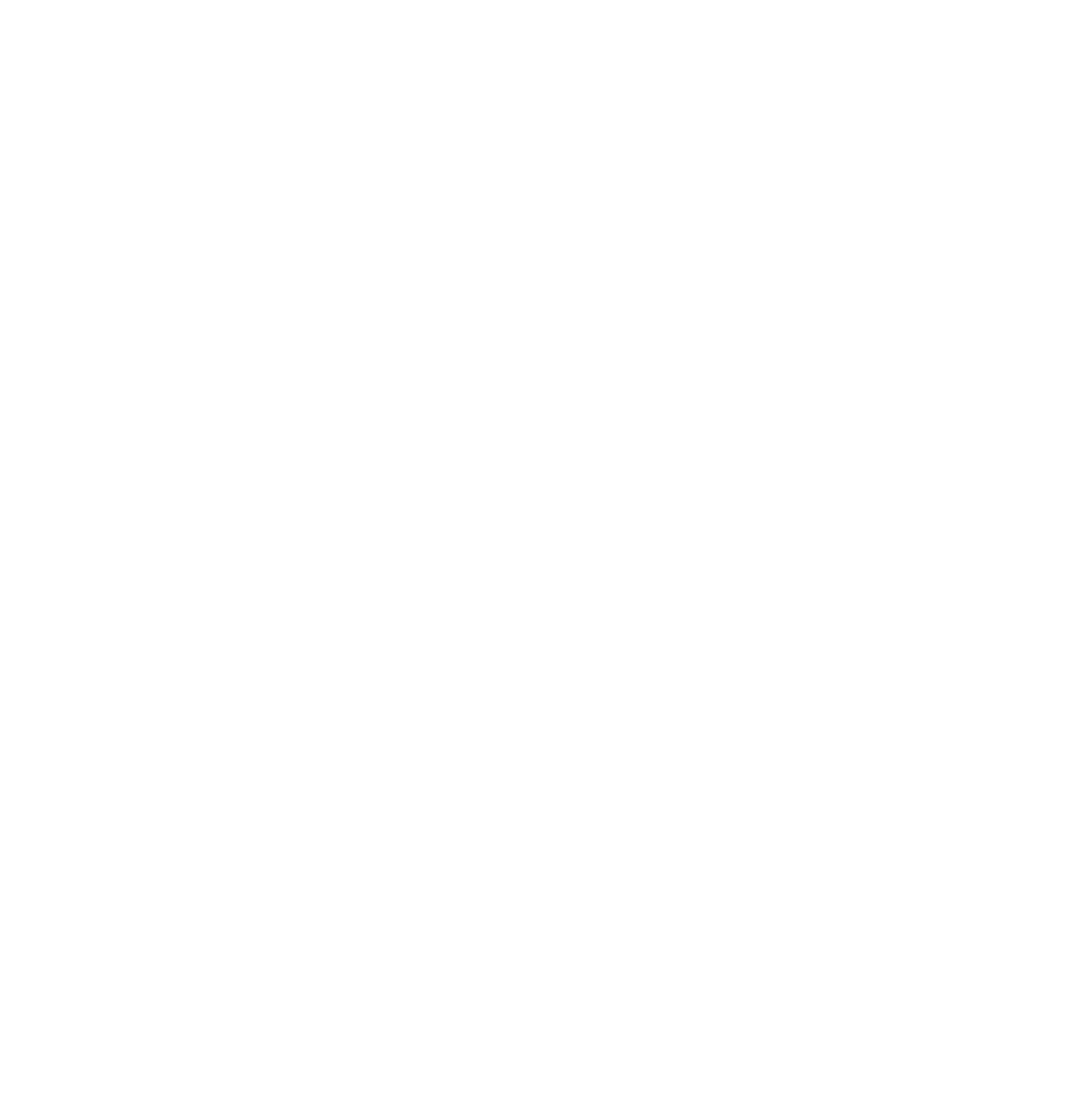 PetroVietnam Power logo grand pour les fonds sombres (PNG transparent)