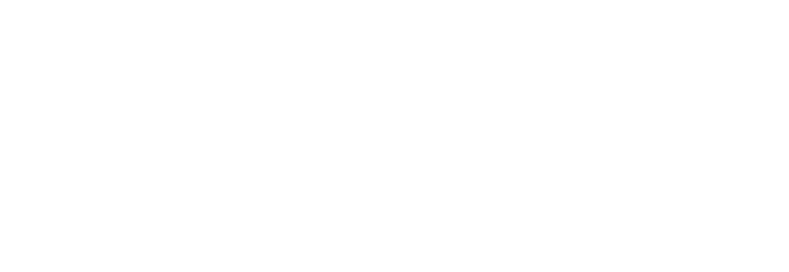 Power Integrations
 logo large for dark backgrounds (transparent PNG)