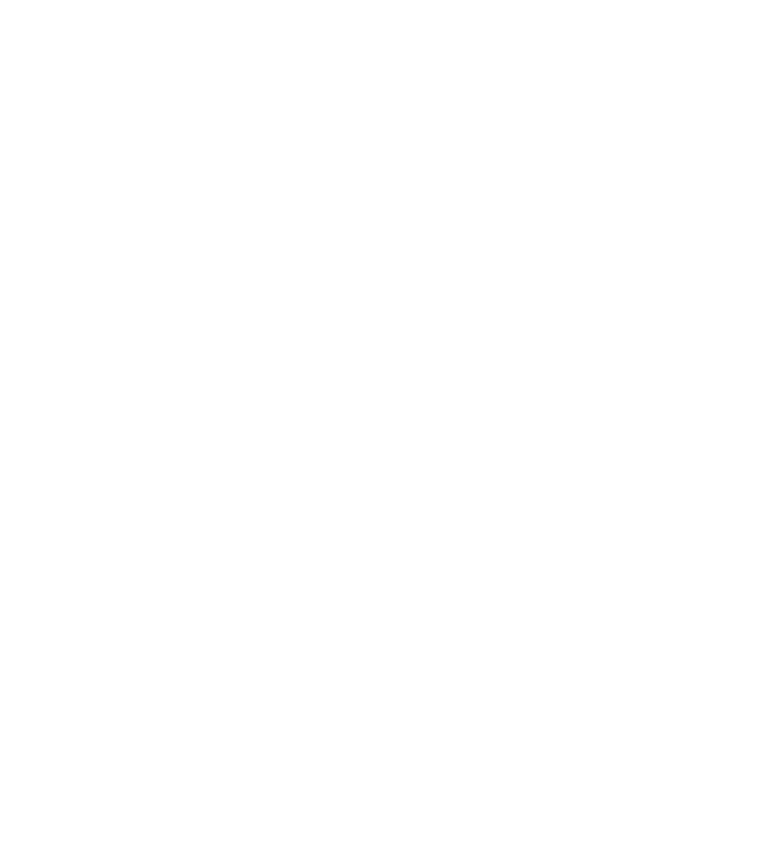 Praemium Limited Logo für dunkle Hintergründe (transparentes PNG)