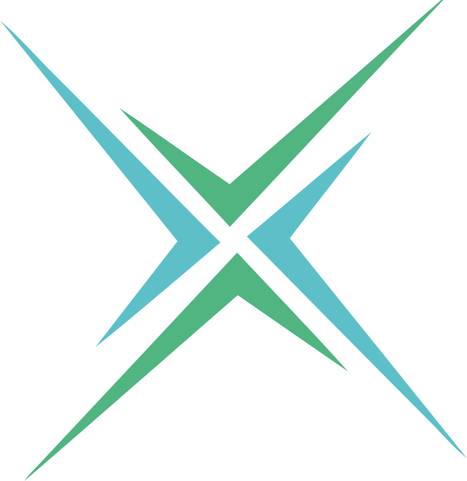 Praxis Precision Medicines logo (PNG transparent)