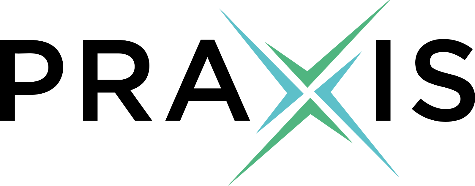 Praxis Precision Medicines logo large (transparent PNG)