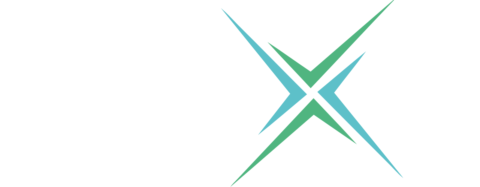 Praxis Precision Medicines logo grand pour les fonds sombres (PNG transparent)