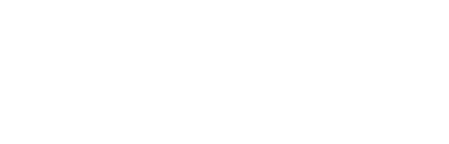 Primoris Services Corporation
 logo pour fonds sombres (PNG transparent)