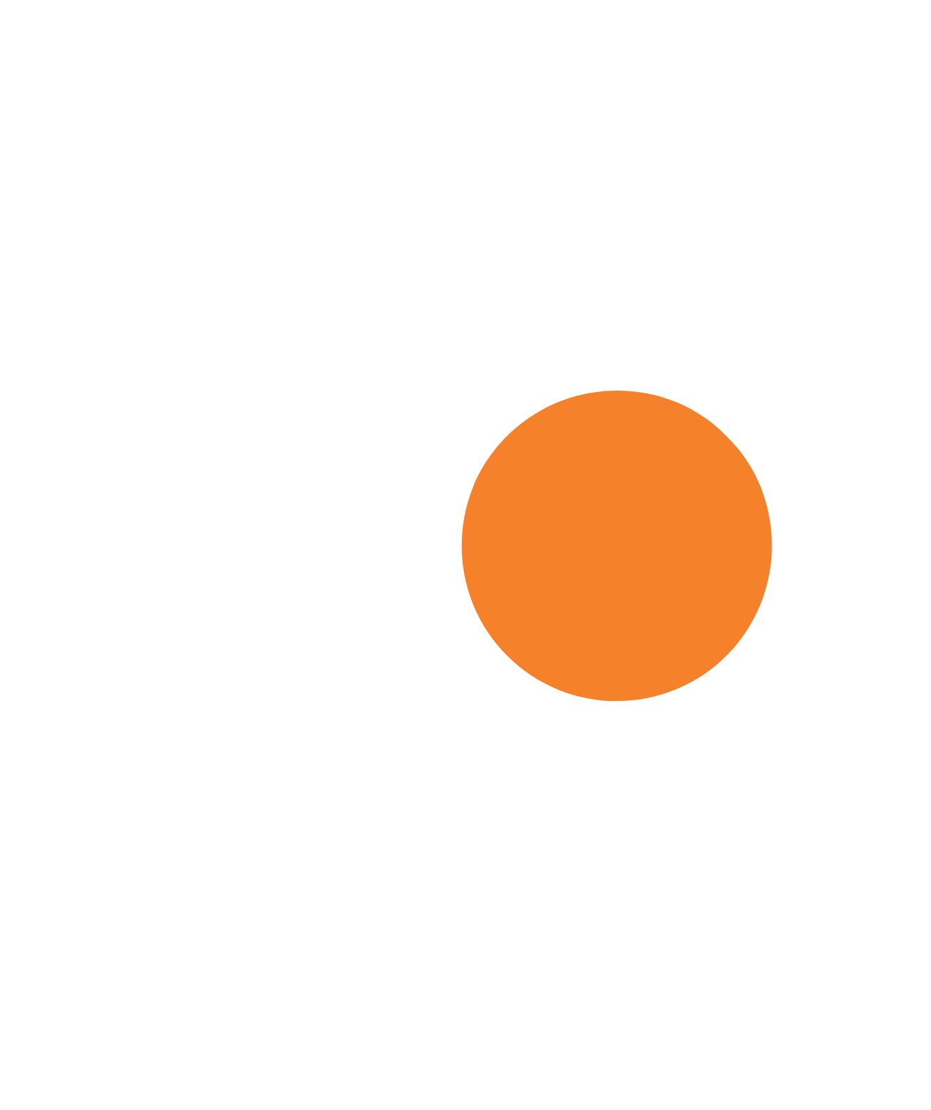 Protector Forsikring Logo für dunkle Hintergründe (transparentes PNG)