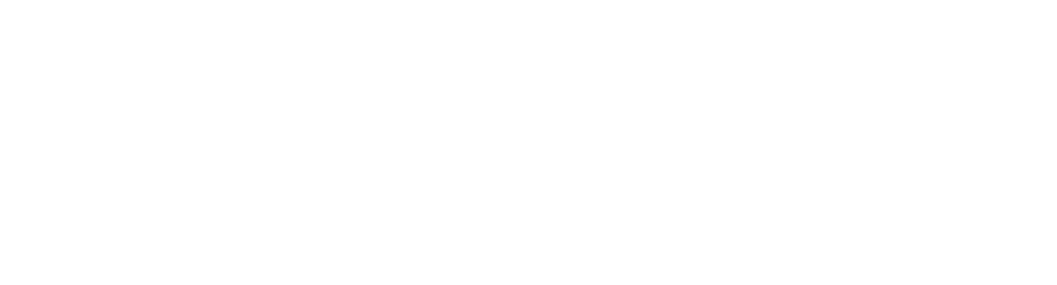 Prosafe SE Logo groß für dunkle Hintergründe (transparentes PNG)