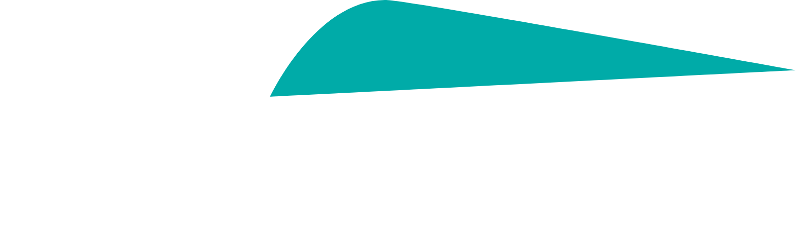 Performance Shipping
 Logo für dunkle Hintergründe (transparentes PNG)