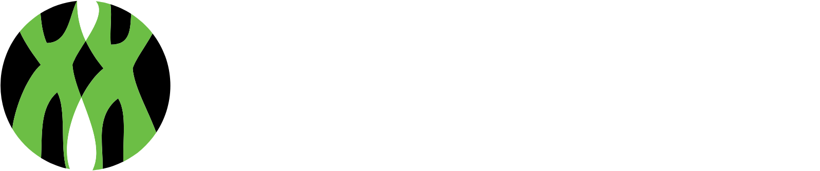 Personalis logo grand pour les fonds sombres (PNG transparent)