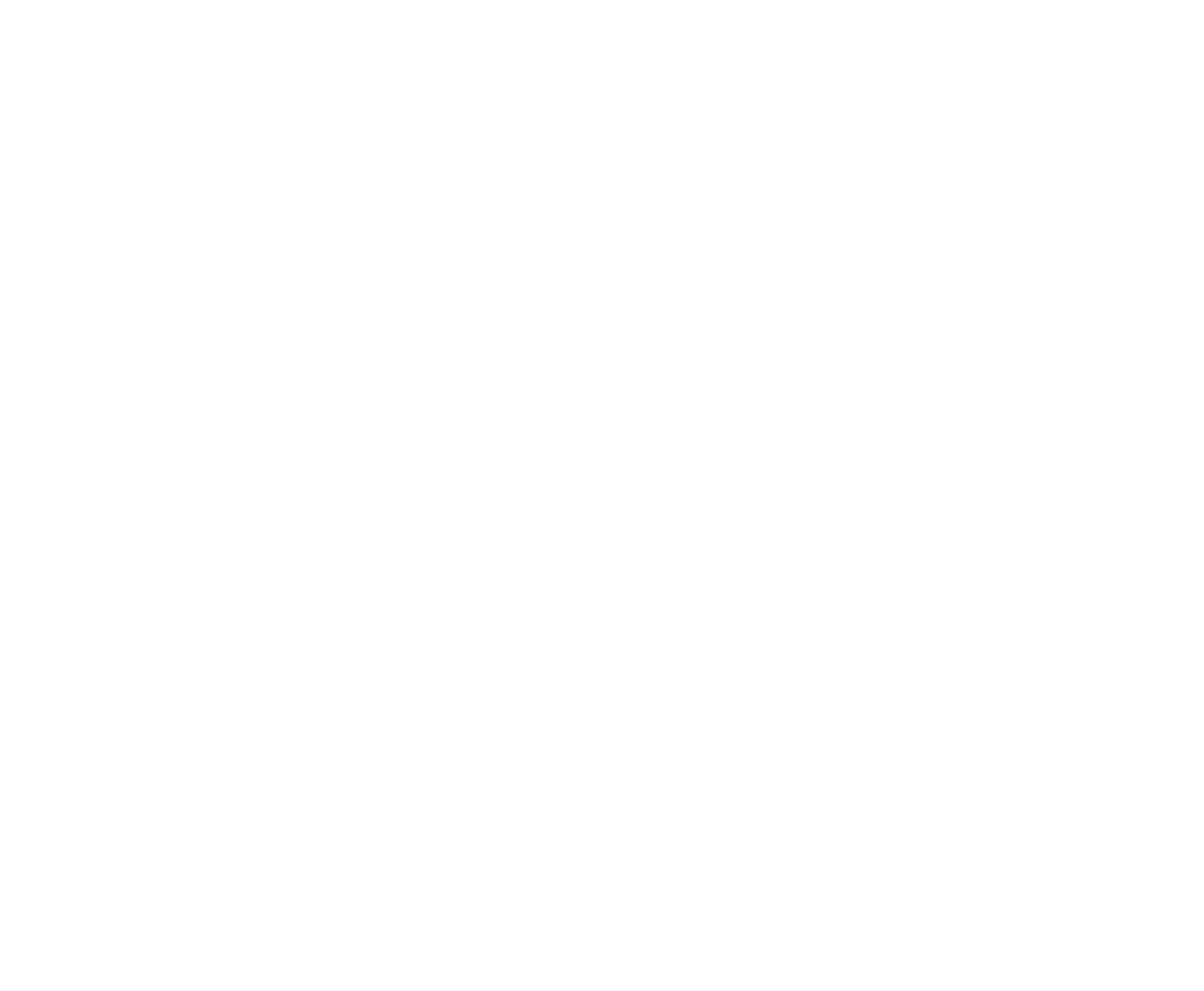 Partner Communications logo for dark backgrounds (transparent PNG)