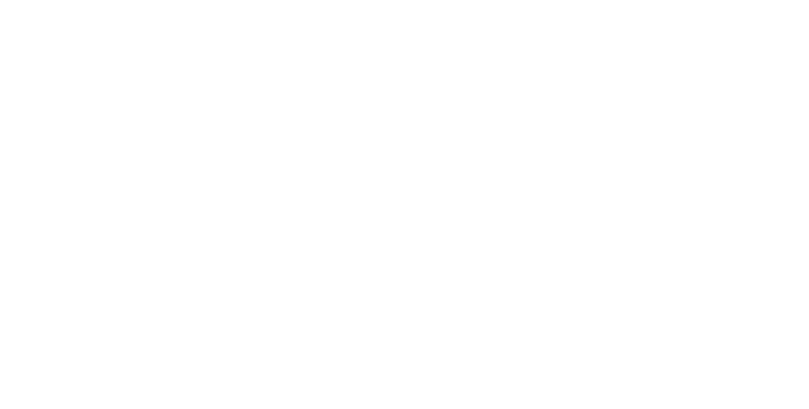 Partner Communications logo large for dark backgrounds (transparent PNG)