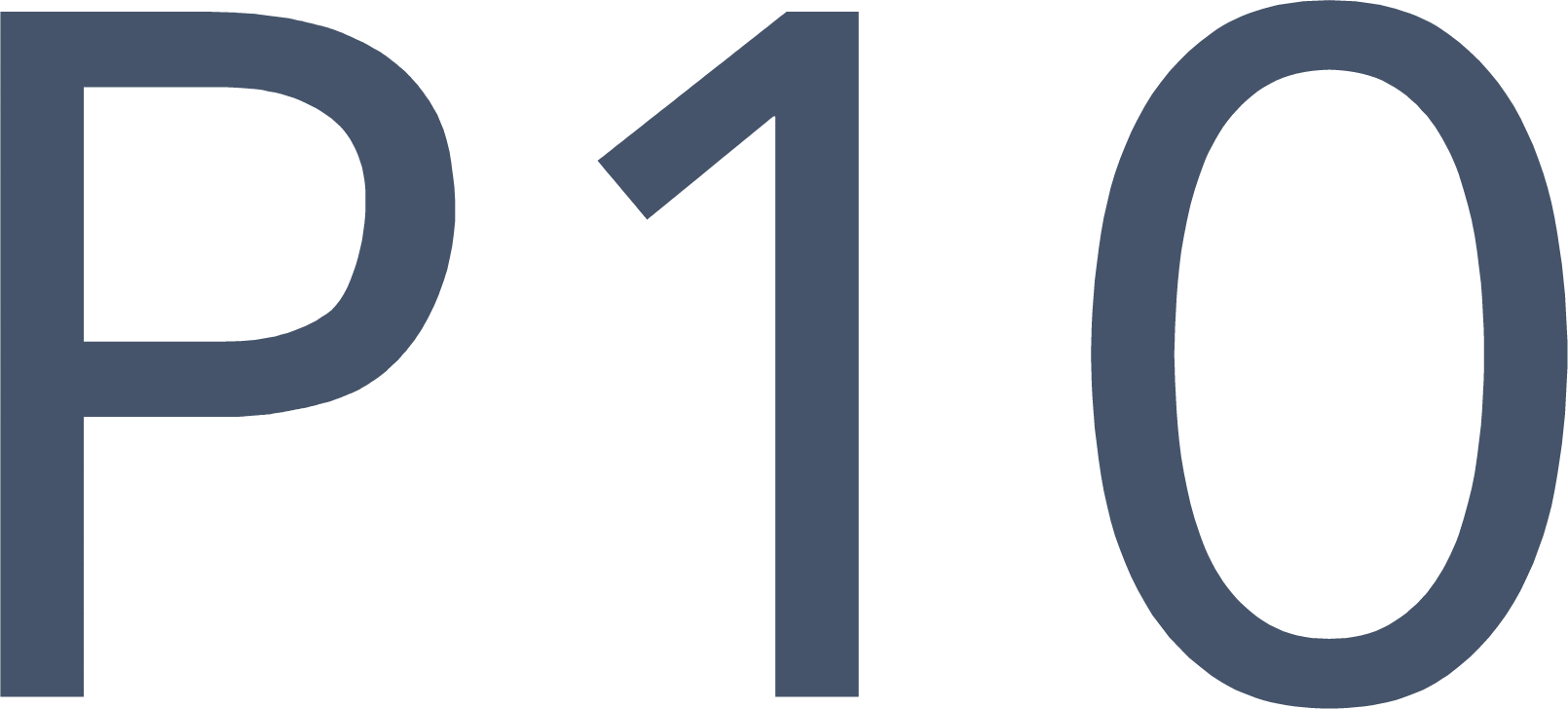 P10 logo (transparent PNG)