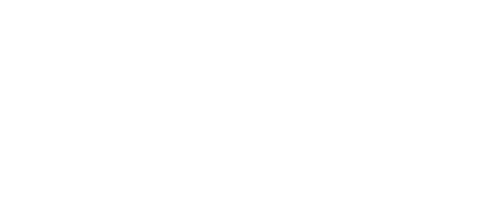 P10 Logo für dunkle Hintergründe (transparentes PNG)