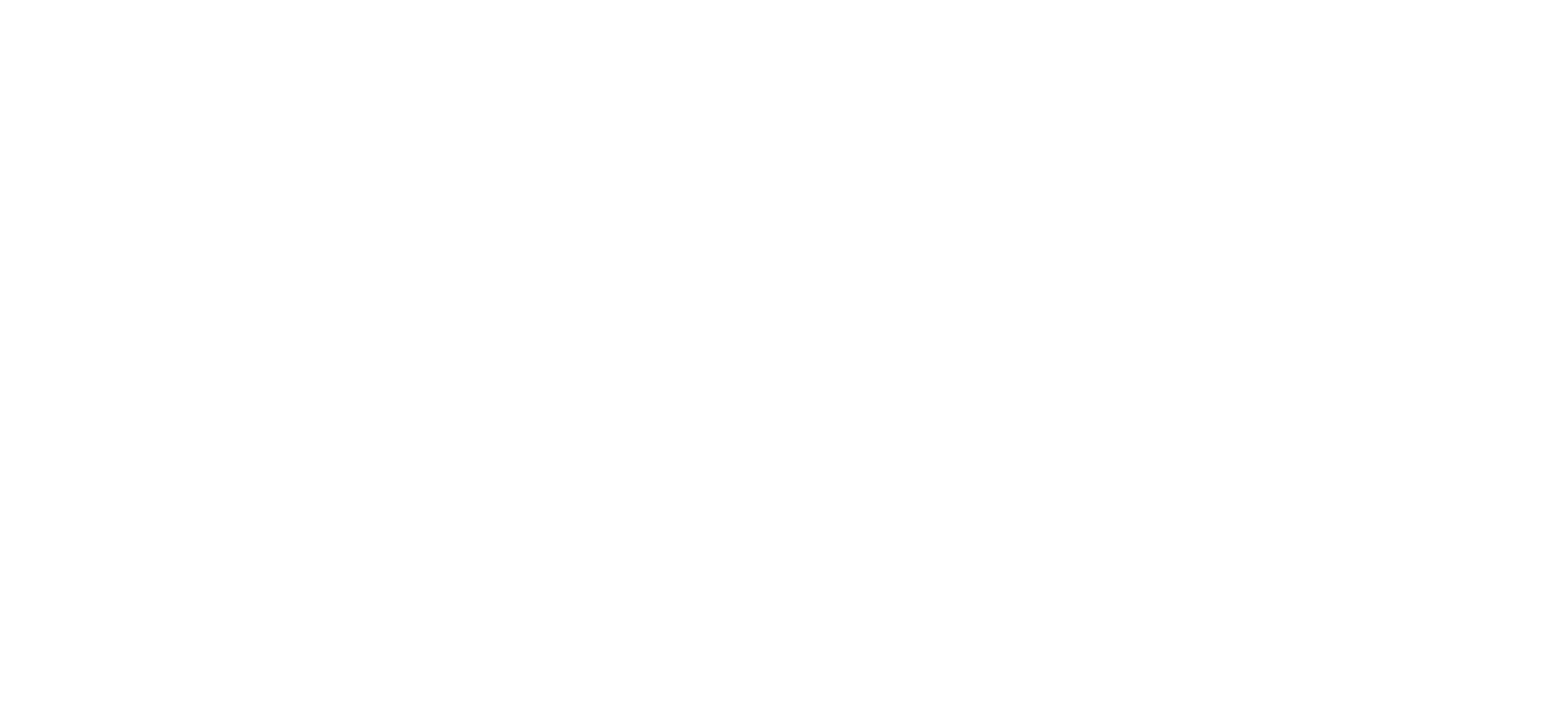 P10 logo fulle size on a dark background (transparent PNG)