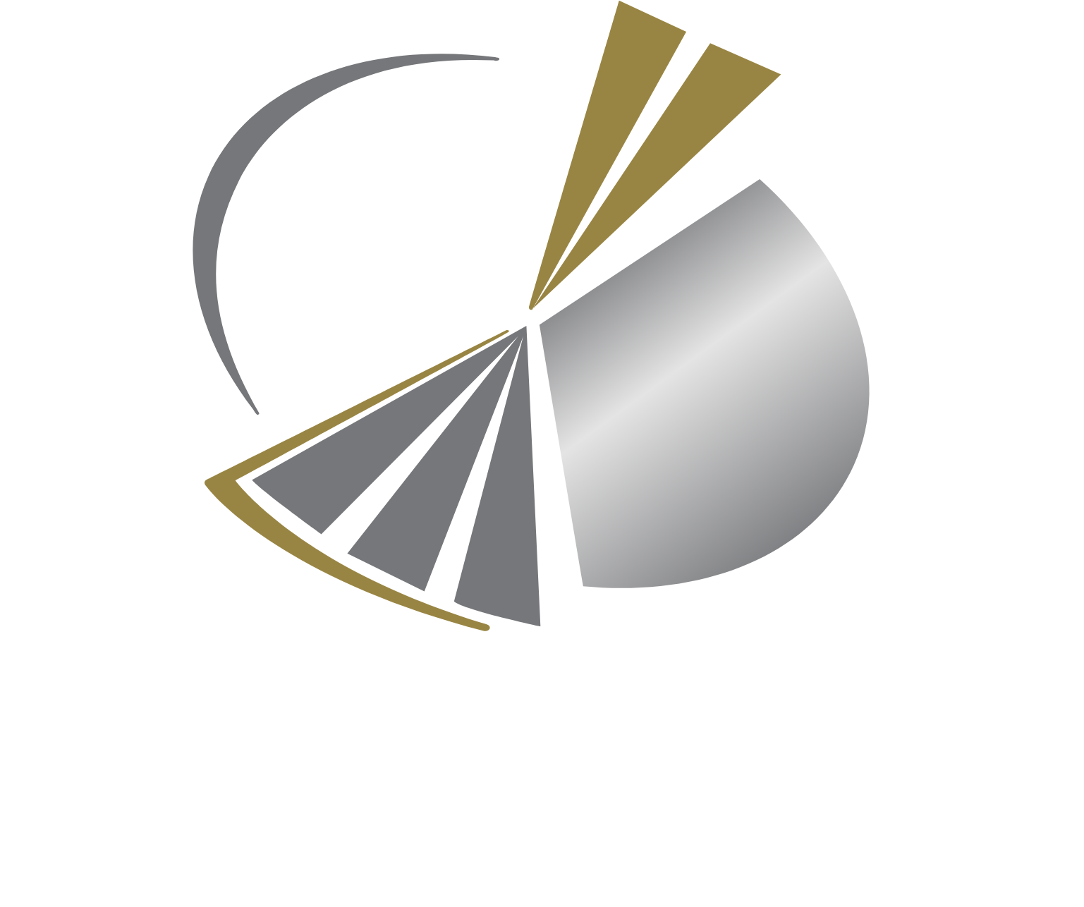 Qatari Investors Group logo large for dark backgrounds (transparent PNG)