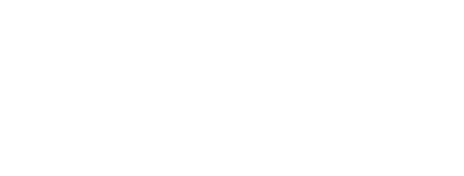 QNB Finans Finansal Kiralama (QNB Finansleasing) logo fulle size on a dark background (transparent PNG)