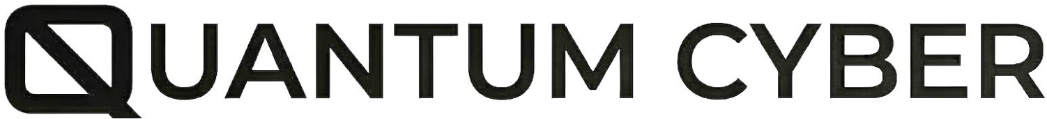 Quantum Cyber N.V. logo large (transparent PNG)